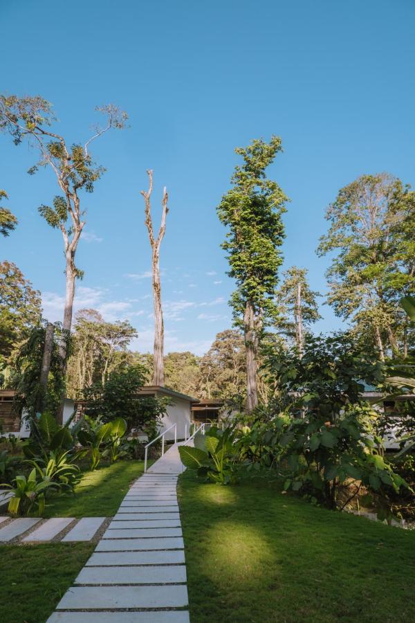 Sonora Jungle & Yoga Retreat Villa Puerto Viejo de Talamanca Exteriör bild