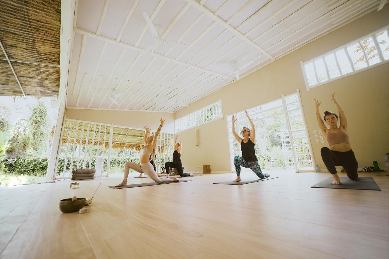 Sonora Jungle & Yoga Retreat Villa Puerto Viejo de Talamanca Exteriör bild